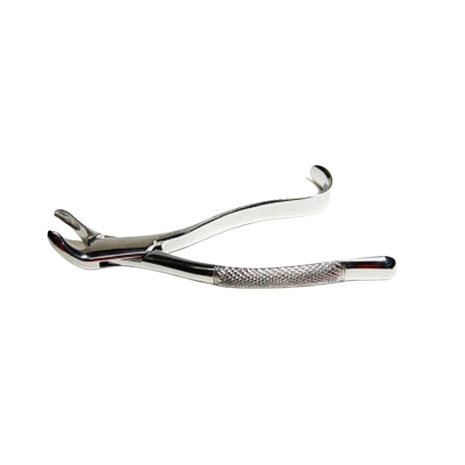 American Pattern Forceps Lower Teeth