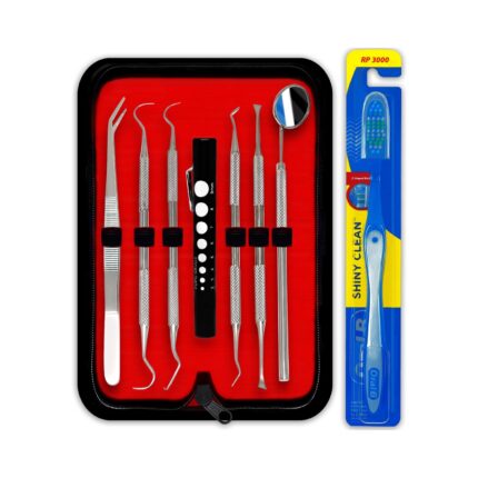 Dental Oral Hygiene Kit with Penlight & Brush