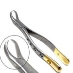 Extracting Forceps Gold Handle 125mm