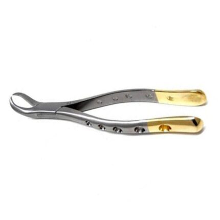 Extracting Forceps Gold Handle 125mm