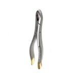 Gold Handle Clinic Extracting Forceps