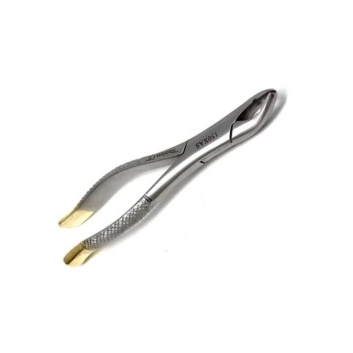 Gold Handle Clinic Extracting Forceps