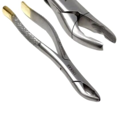 Gold Handle Clinic Extracting Forceps