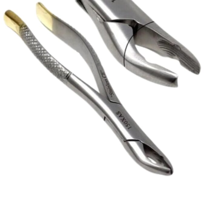 Gold Handle Clinic Extracting Forceps