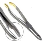 Gold Handle Extracting Forceps