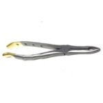 Gold Handle Extracting Forceps