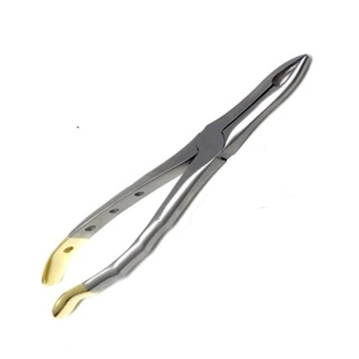 Gold Handle Extracting Forceps