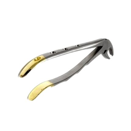 Gold Handle Molar Forceps