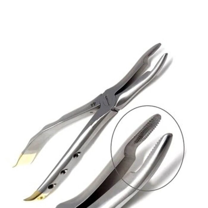 Orthodontic Extracting Forceps1